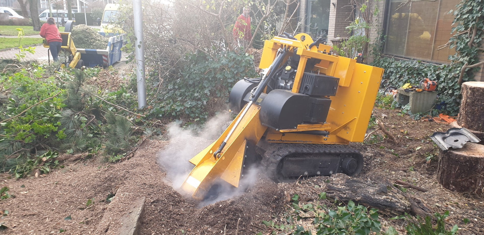 Hillegom cut down 2 pines