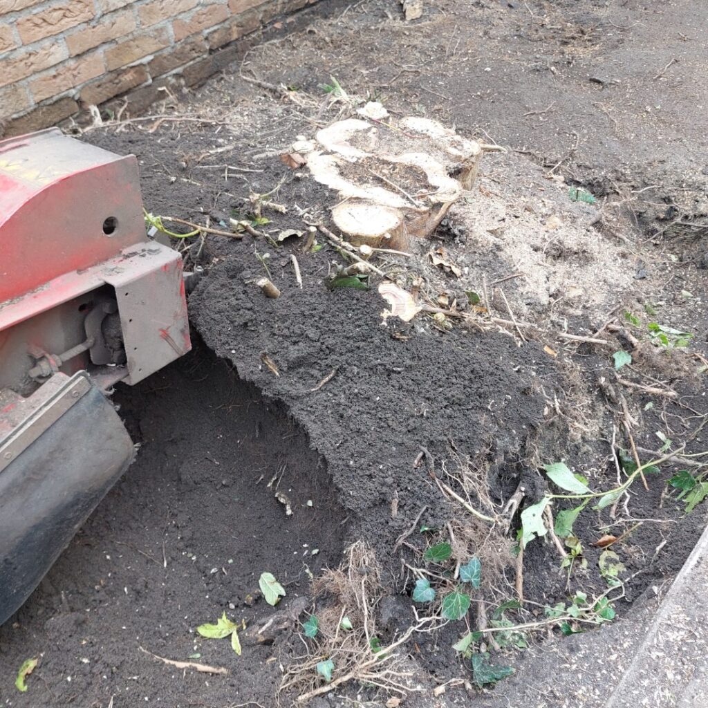 Stobbenfrezen. Eerst de dunnere wortels vooraan wegfrezen.